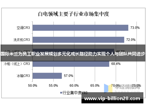 国际米兰为员工职业发展规划多元化成长路径助力实现个人与团队共同进步